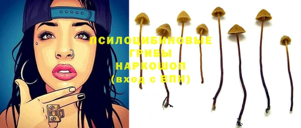 бошки Балахна