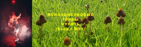 бошки Балахна