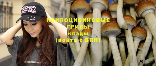 каннабис Баксан