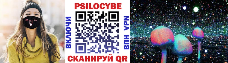 Псилоцибиновые грибы Psilocybe  маркетплейс наркотические препараты  Зея  где можно купить  