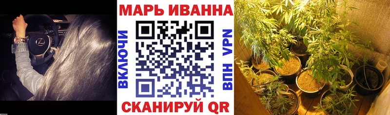 Конопля OG Kush Зея